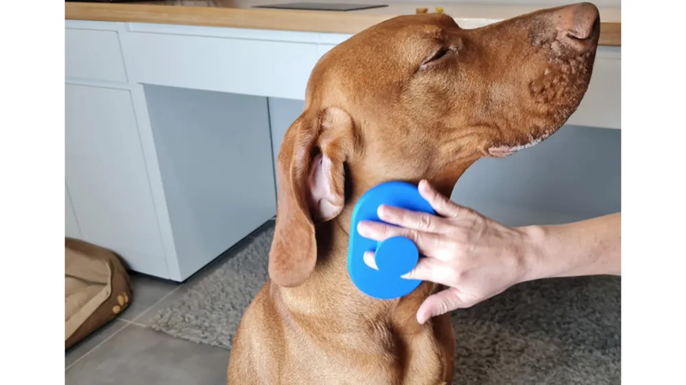 Escova de embelezamento para animais de estimação