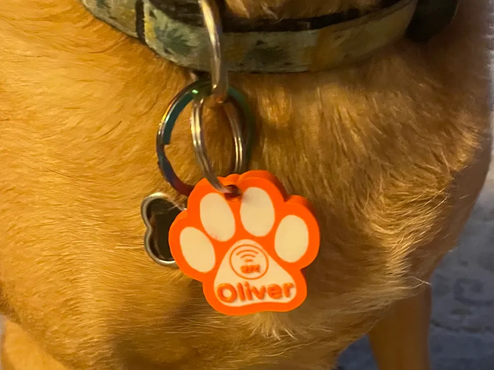 Tag NFC para Pet